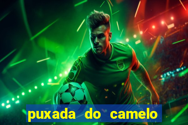 puxada do camelo no jogo do bicho